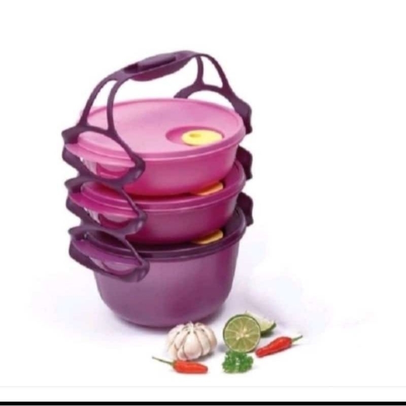 Carry All Bowl / Tupperware Rantang