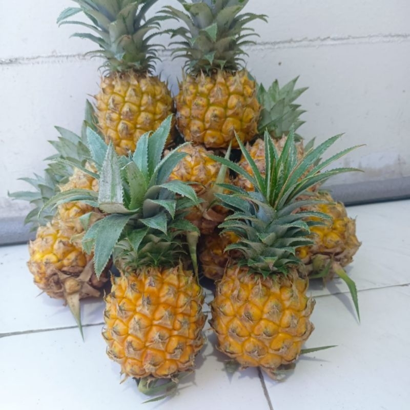 

Paket Hemat Nanas Madu isi 6