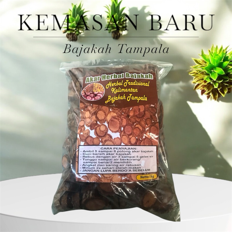 

Akar Kayu Bajakah Tampala super 1KG Bajakah Asli Kalimantan