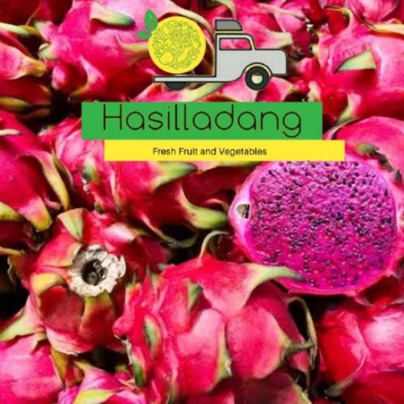 

Buah Naga Merah 1kg – Manis & Segar | Fresh Fruit