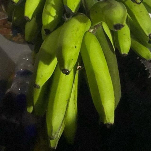 

Buah Pisang Matah Fil Ecer Pisang Matah
