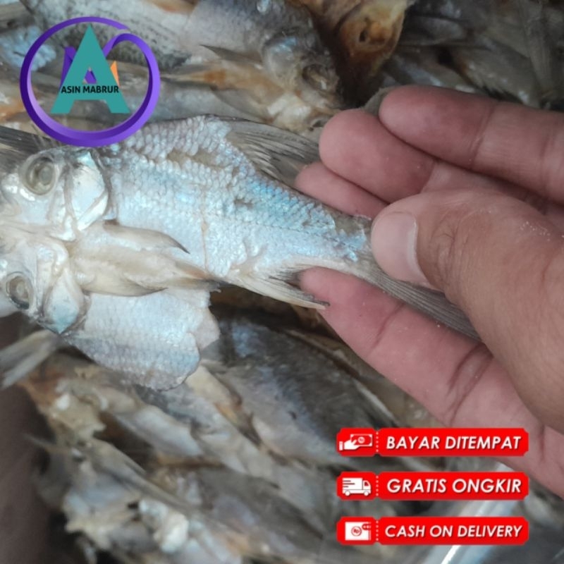 

Ikan Asin Nilem Ikan Asin Tawes Ikan Asin Karamas Rasa Enak Dan Gurih Harga Murah