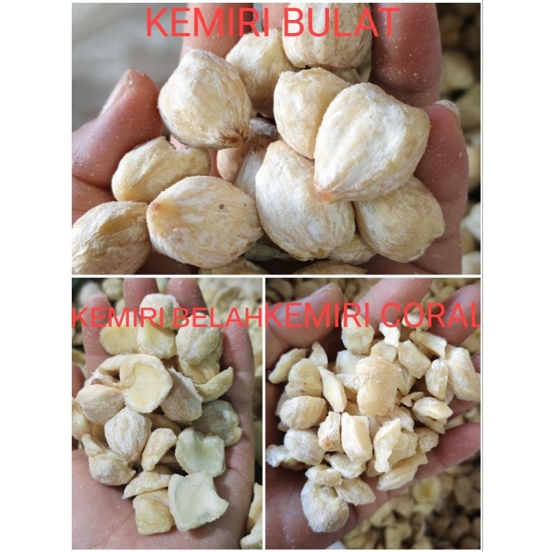 

KEMIRI MEDAN BULAT, KEMIRI UTUH 1 kg