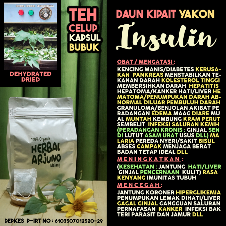 

Dehydrated Dried Teh Celup Kapsul Bubuk Daun Insulin Yakon Kipait Obat Diabetes Kencing Manis Hepatitis Hepatoma Kanker Hati Liver Hematoma Maag Hipertensi Kolesterol Ginjal Edema Radang Sendi Lutut Asam Urat Usus Pembersih Darah Pankreas Herbal Alami
