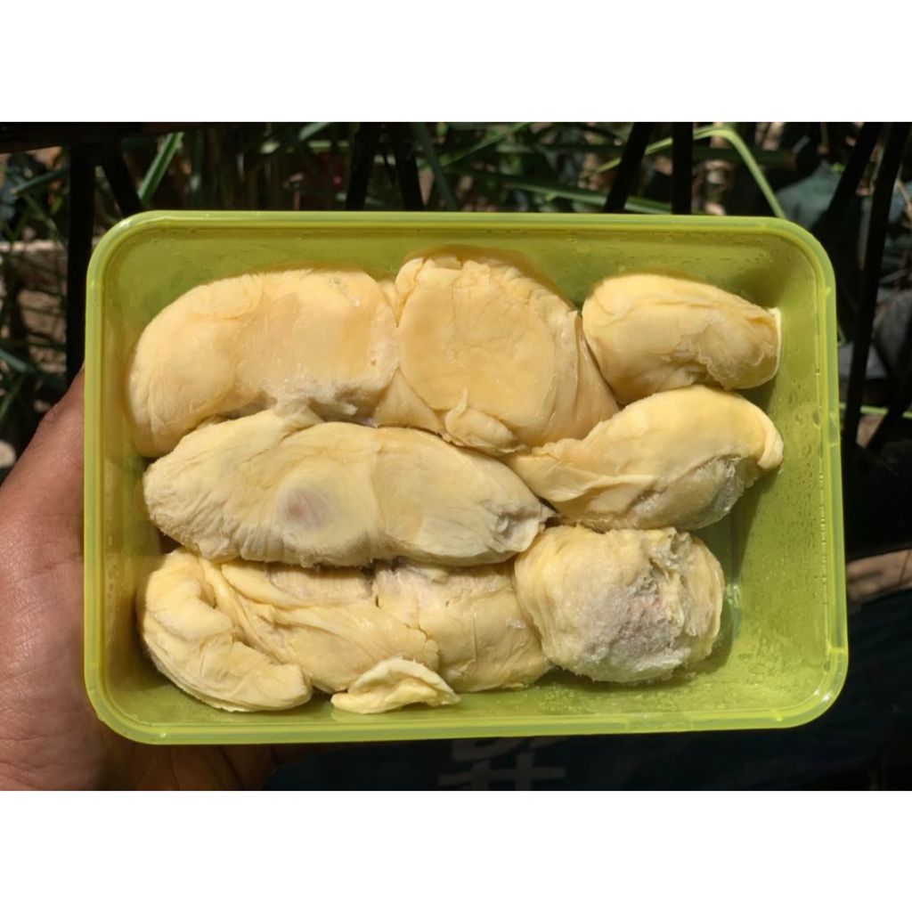 

Durian Medan Premium Yellow Box | Durian Medan Box Kuning 500 Gram