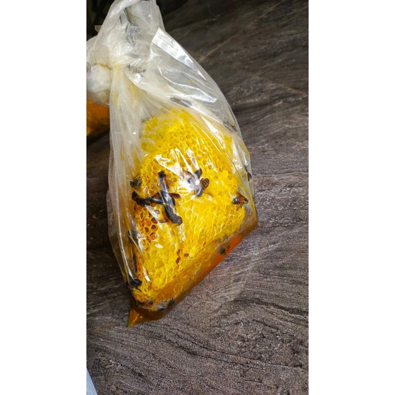 

Madu hutan odeng asli