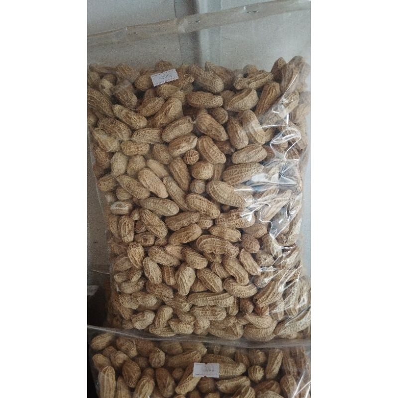 

kacangkulitopen