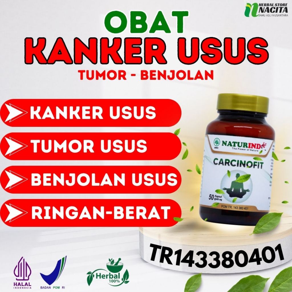 Obat Kanker Usus Besar Tumor Kolon Benjolan Radang Usus Herbal Carcinofit