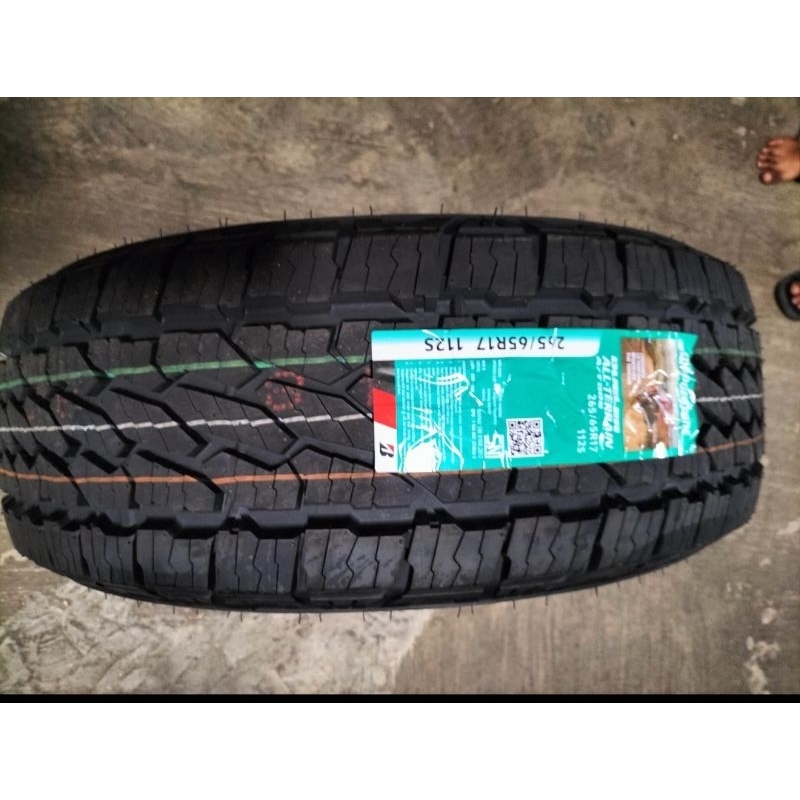 Ban Bridgestone Dueler D697(AT)/AT002
