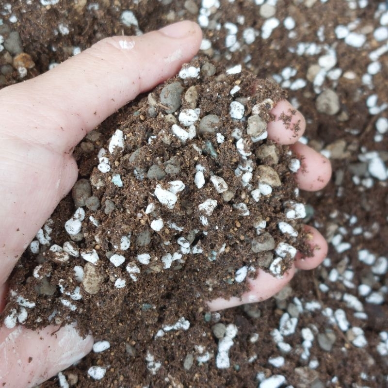 Media Tanam Metan Kaktus Sukulen Lithops Gymno Gymnocalycium Astrophytum Premium STERIL Anti Hama An