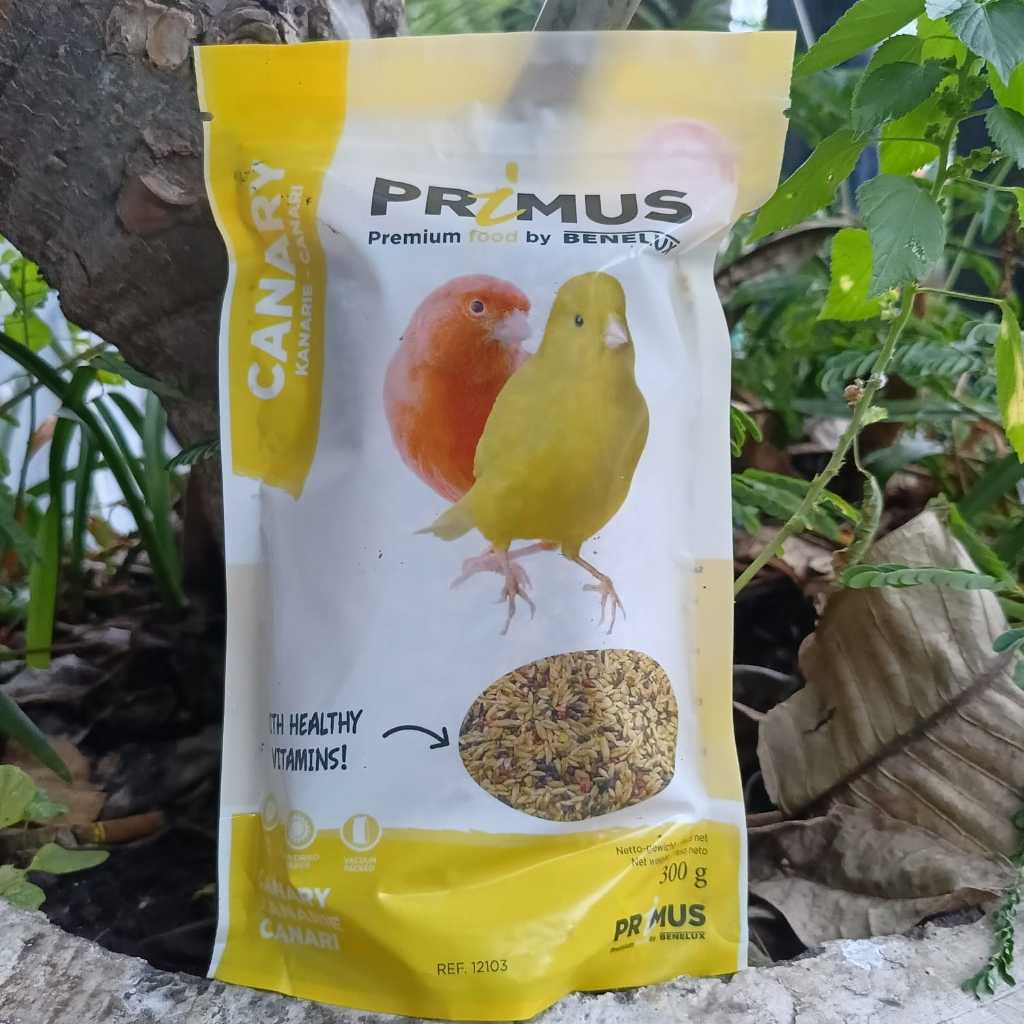 PRIMUS CANARY PREMIUM BENELUX PRIMUS KENARI PAKAN KENARI IMPORT