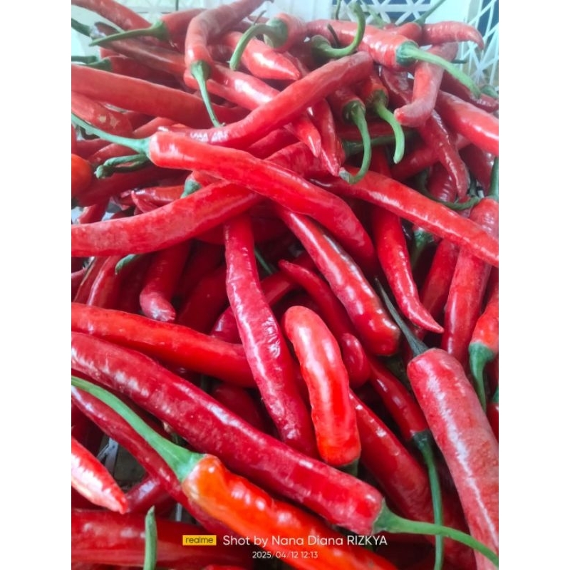 

Cabe Merah Besar 1Kg