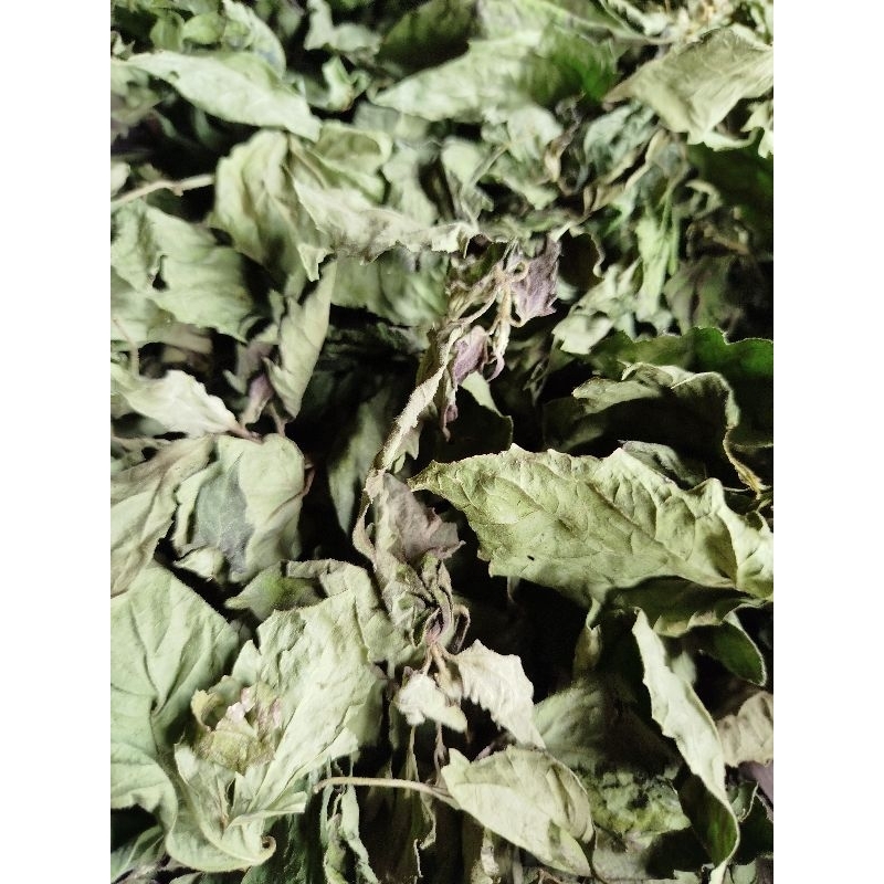 

daun balakacida/daun kopasanda kualitas KERING(500_100GRAM)