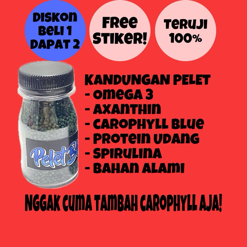 Pakan Ikan Channa Premium Terbaik 1mm – Pelet Blue | Warna Cerah & Nafsu Makan | Cocok untuk Pulchra