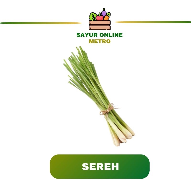 

Sereh 1 Ikat - Sayur Online Metro