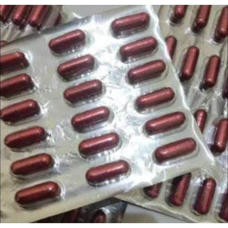 

KAPSUL BLIZTER KUAT PRIA