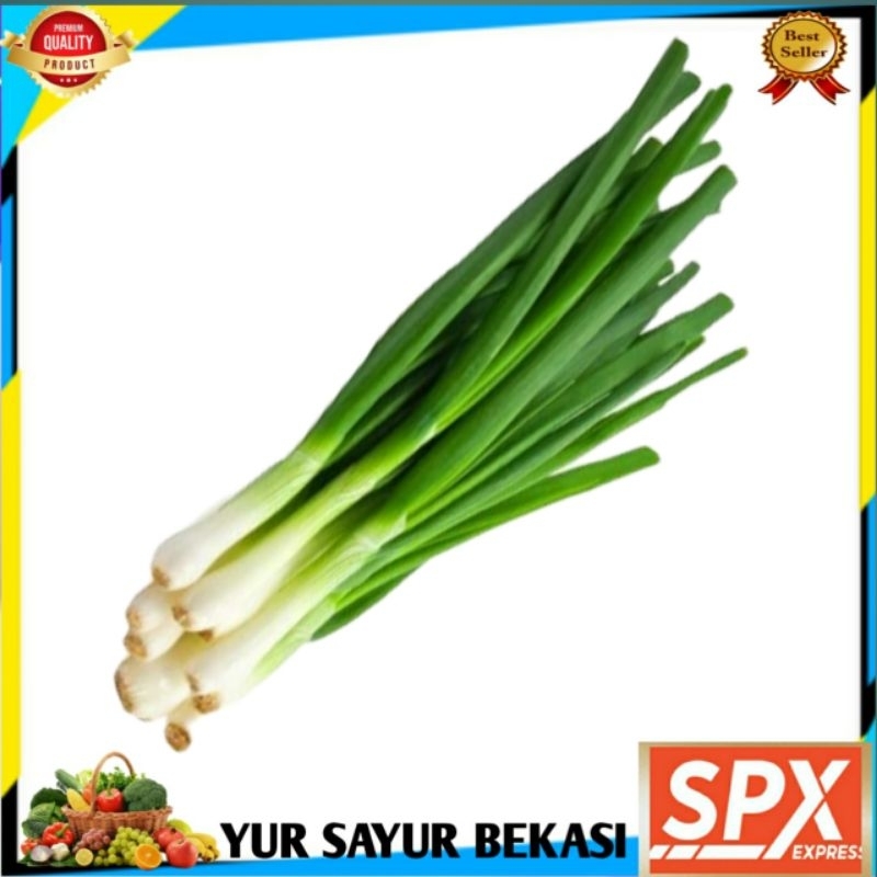 

Daun Bawang Segarr Per ikat