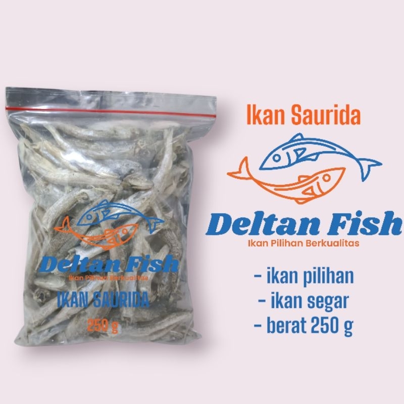 

Ikan saurida deltan fish ikansaurida, ikan hasil haul tanpa pengawet, dan pewarna