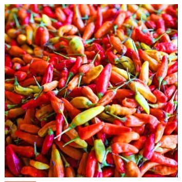 

Cabe / Cabai Rawit Merah 500 gr