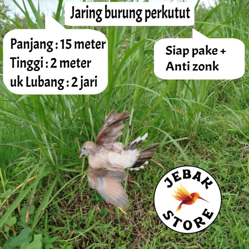 JARING BURUNG PERKUTUT JARING BURUNG KUTUT JARING BURUNG KUTUT JARING BURUNG BESAR JARING BURUNG 2 I
