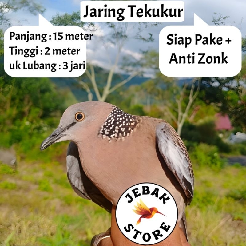 JARING BURUNG TEKUKUR JARING BURUNG DERKUKU JARING BURUNG DEKUKU JALA PIKAT BURUNG TEKUKUR KLANTAN J