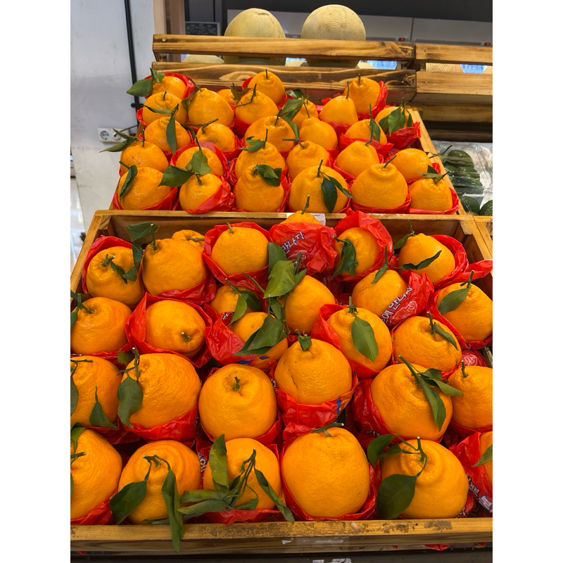 

Jeruk Papagan XL curah 900-1000gr