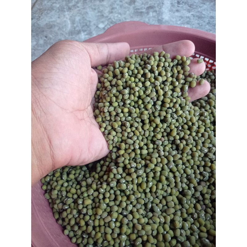 

Kacang Ijo 500 gram