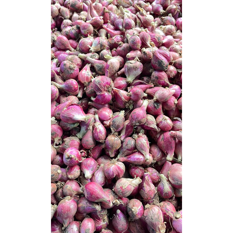 

ASLI!! bawang merah brebes harumm.