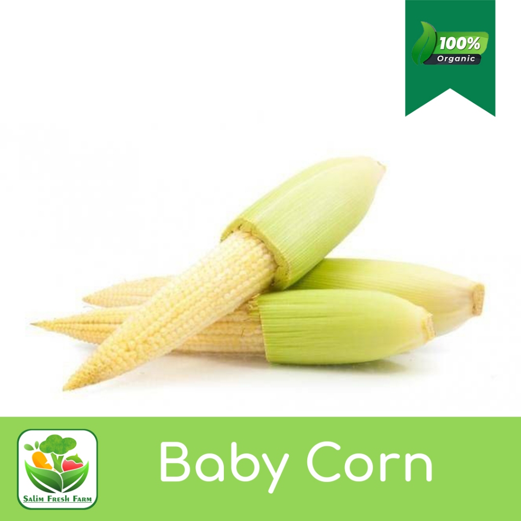 

Jagung Semi / Baby Corn
