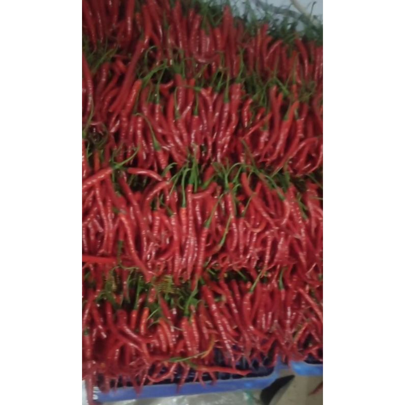 

cabe kriting