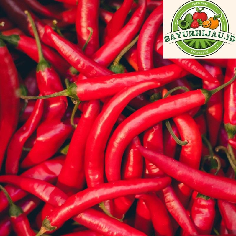 

Sayur Murah - Cabe Merah Besar 500gr MURAH