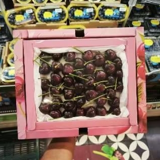 

Buah Cherry red lantern super premium import gift Box