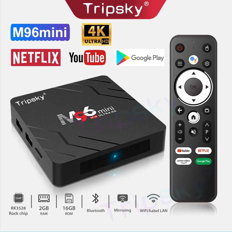 Homeyvibes Tripsky M96Mini-Voice Version Android Tv Box Ram 2Gb Rom 16Gb Android Tv 13 Os Stb
