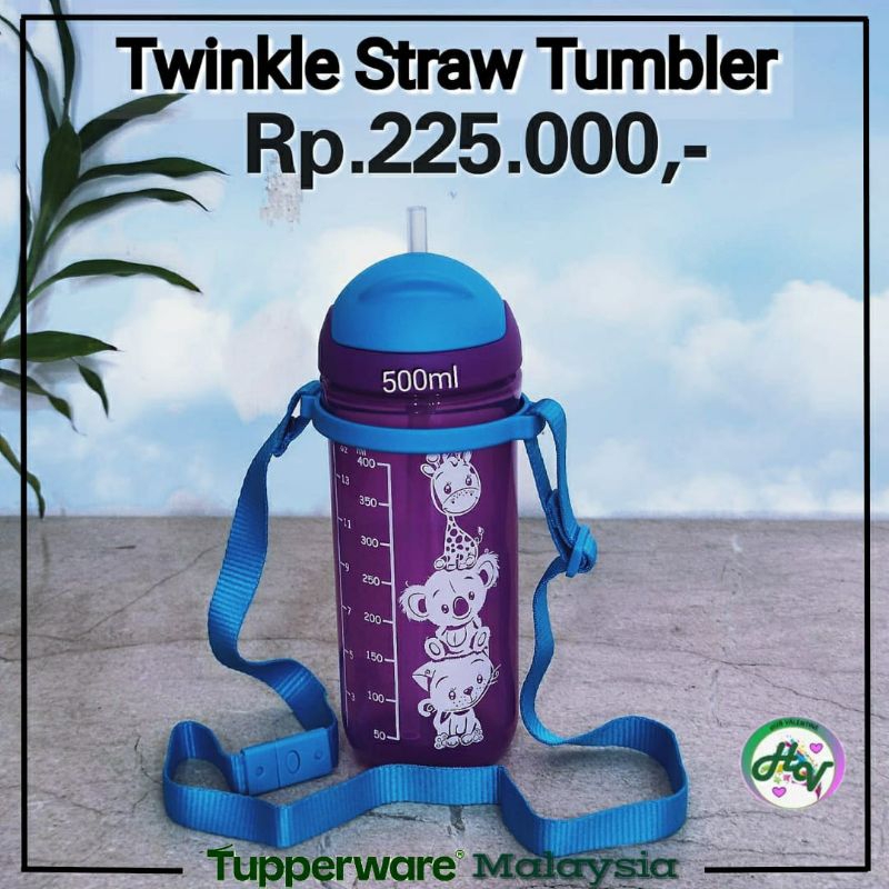 Tupperware Twinkle Straw Tumbler / Kiddos Tumbler