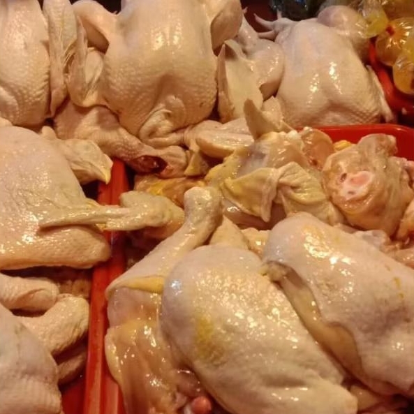 

INSTAN KOTA JAMBI Ayam Potong 250gr