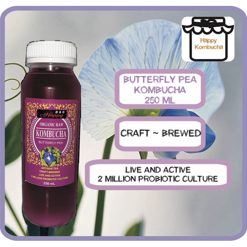

Butterfly Pea Kombucha