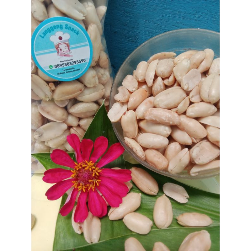 

Kacang Bawang 500gr