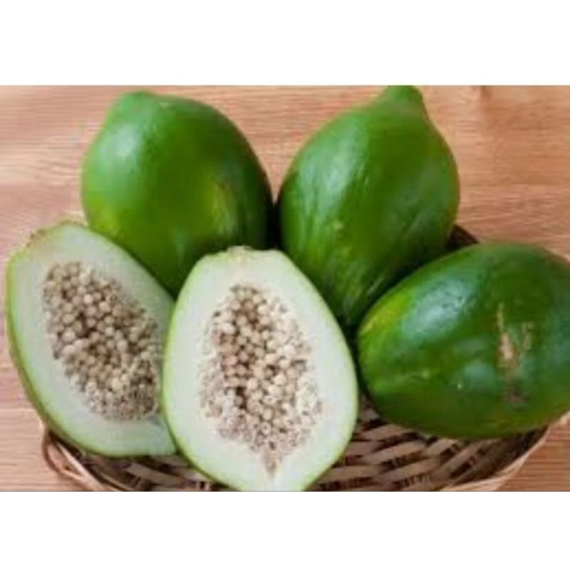 

Buah Pepaya Muda Segar