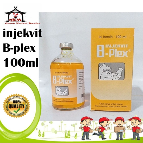 Vitamin B Complek Injeksi isi 100ml