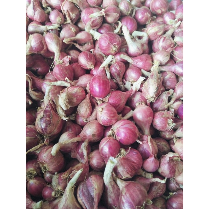 

bawang merah Probolinggo 1/2 kg