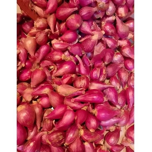 

BAWANG MERAH BREBES UKURAN TANGGUNG 1KG