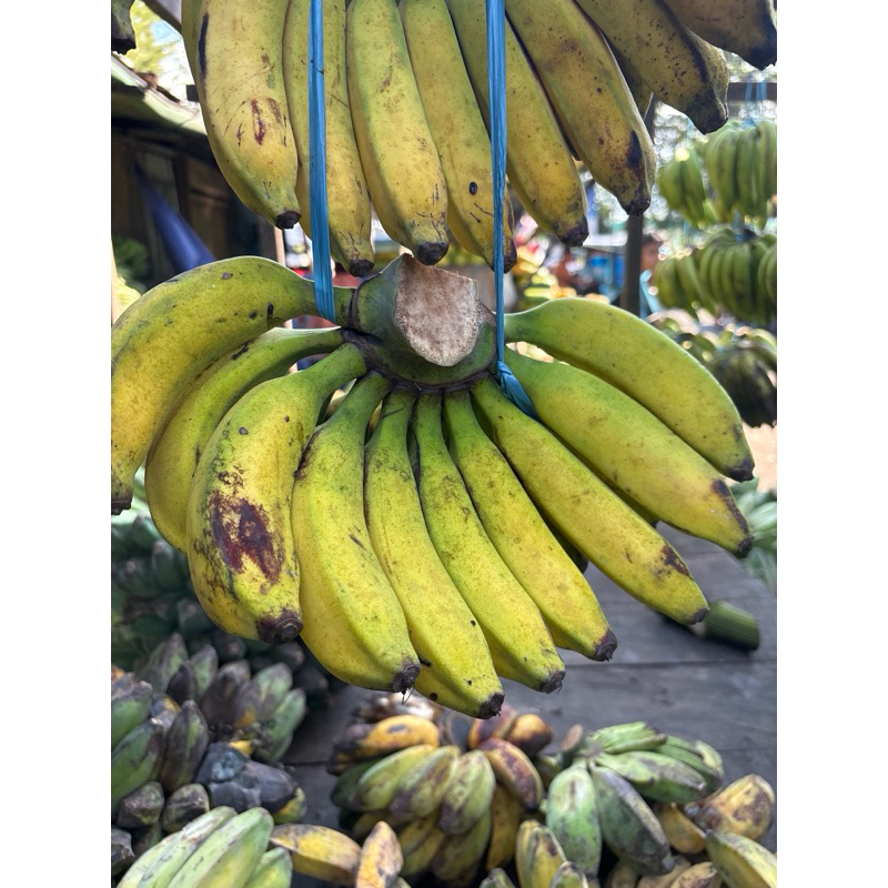 

pisang raja