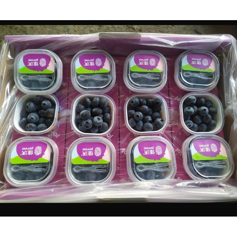 

Blueberry Joyvio RRC 60gr