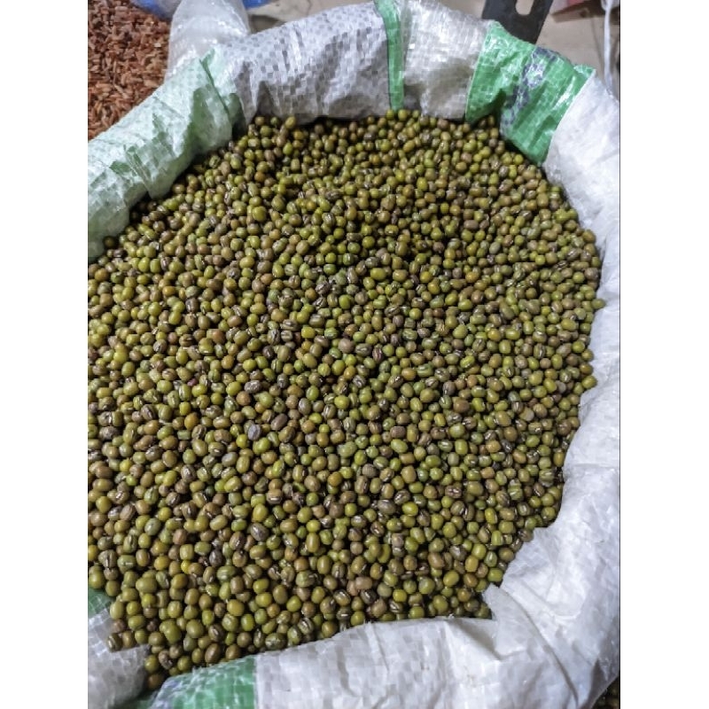 

Kacang Hijau Super Premium Blue Ribbon Butiran Besar 250gr 500gr 750gr 1kg