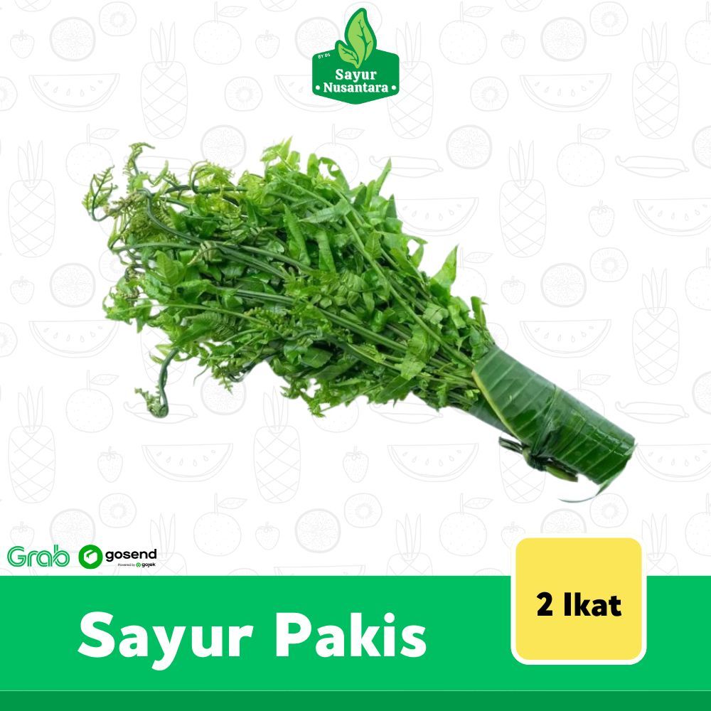 

Sayur Pakis Fresh 2 Ikat - Sayur Nusantara