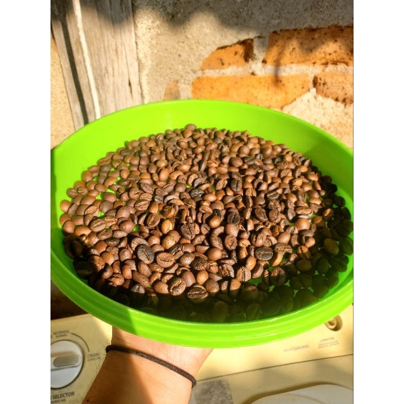 

kopi robusta lampung barat