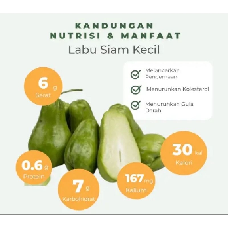 labu Siam kecil/sayuran labu/labu