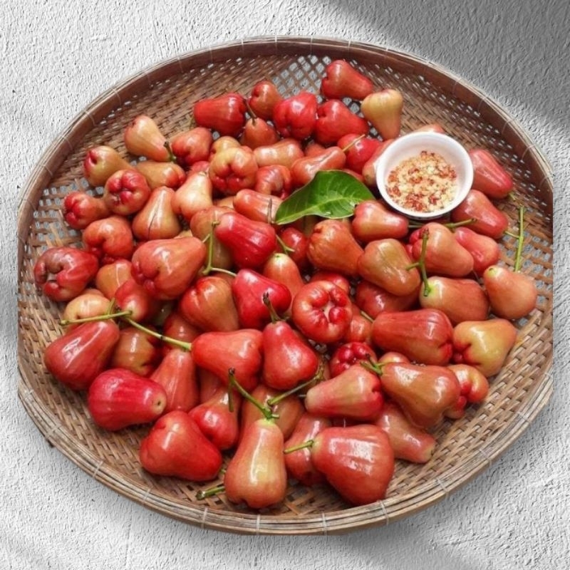 

jambu air tebu/jambu rujak 1kg muanis