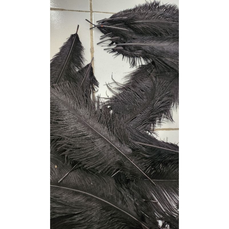 30 pcs Bulu Burung Unta Hitam Ukuran 25-30 cm Dekorasi Pesta Event
