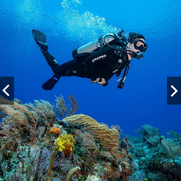 1 Pasang Fins Renang Universal Penutup / Cocok Untuk Menyelam Bebas / Long Fins Carbon1 Pasang Fins 